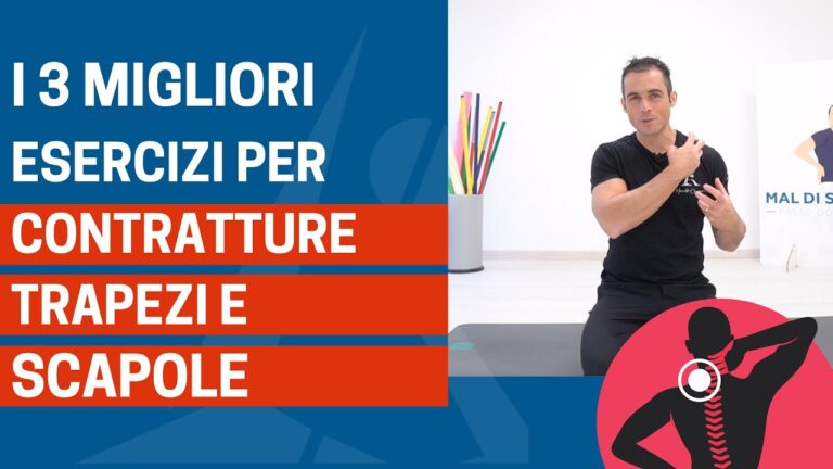 Anatomia e funzione dei nervi nella scapola