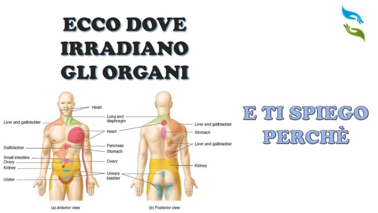 Legame tra dolore alla spalla destra e problemi al fegato: analisi completa