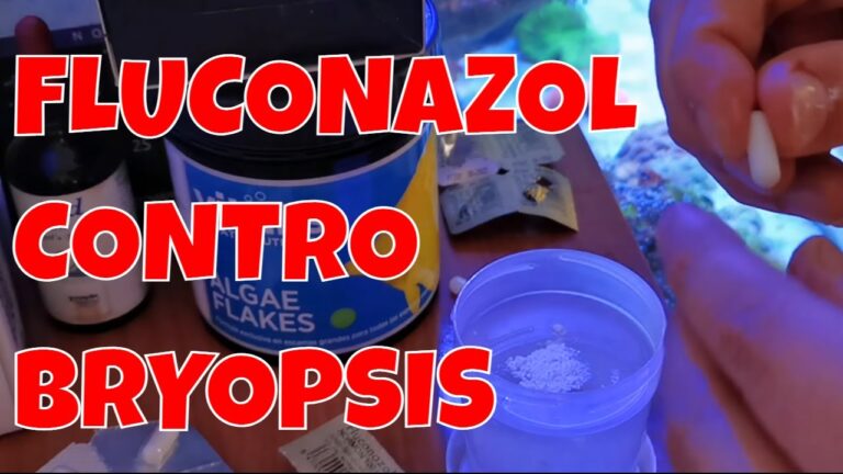 Fluconazolo: quanto tempo prima agisce contro le infezioni?