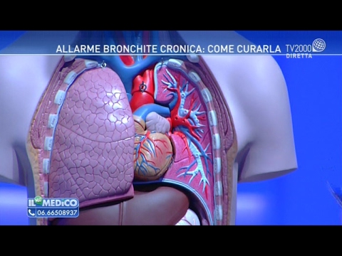 Sintomi di Bronchite e Dolore alla Schiena: Una Guida Completa
