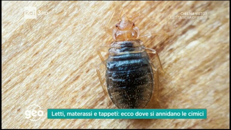 Bicarbonato: il rimedio ottimale contro le cimici da letto