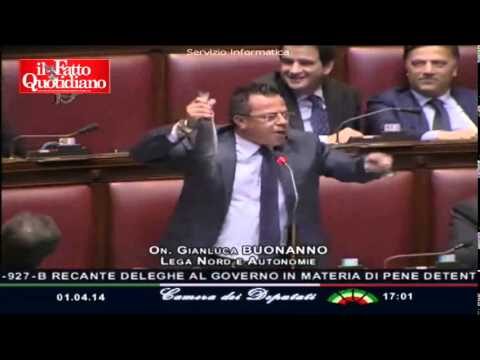 Il Lupo di Mare: Altro Nome della Spigola
