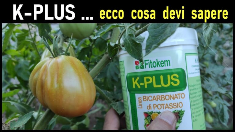 Utilizzo del bicarbonato di potassio: benefici e applicazioni