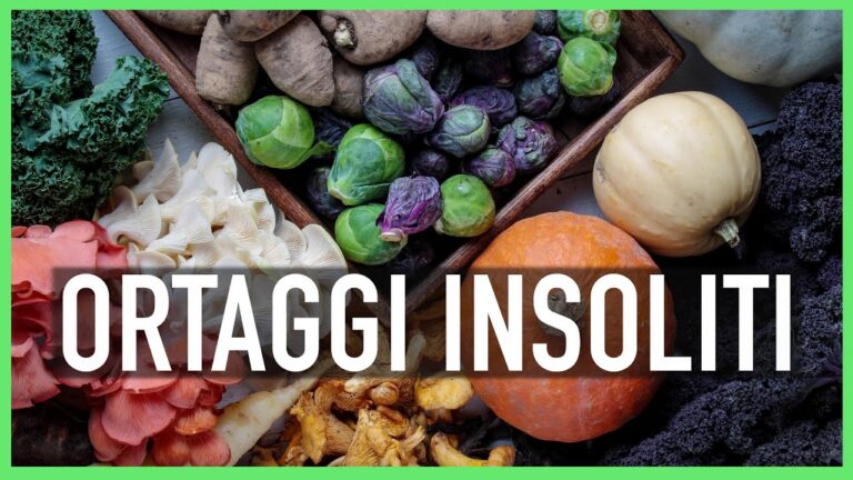 Cicerchia: guida alla coltivazione di questa pianta antica
