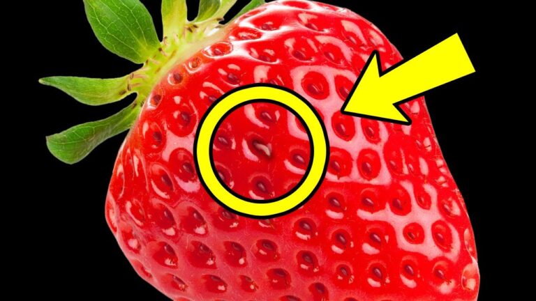 Effetti del consumo del verme delle ciliegie: cosa succede?