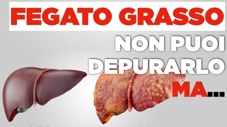 Il Fegato: La Straordinaria Capacità di Rigenerazione