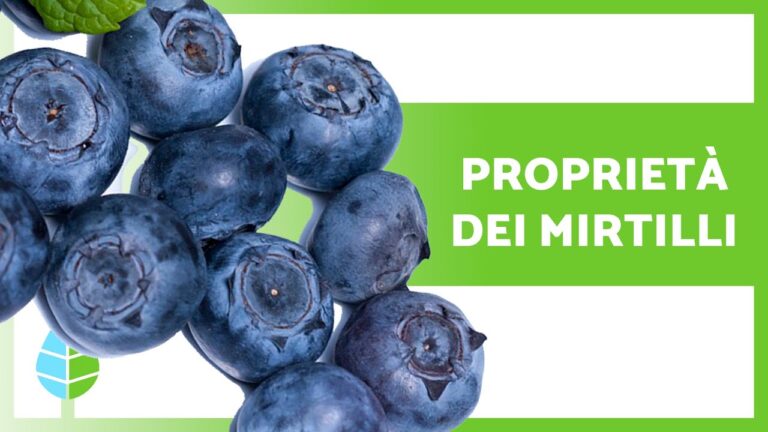 I vantaggi del mirtillo: un superfood ricco di benefici